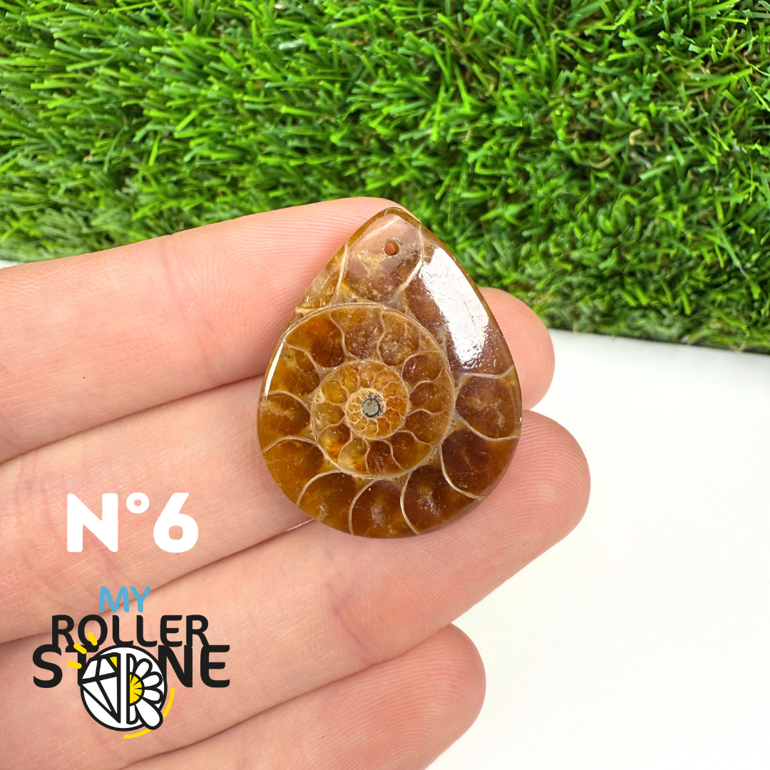 Pendentif Ammonite 5A Percé
