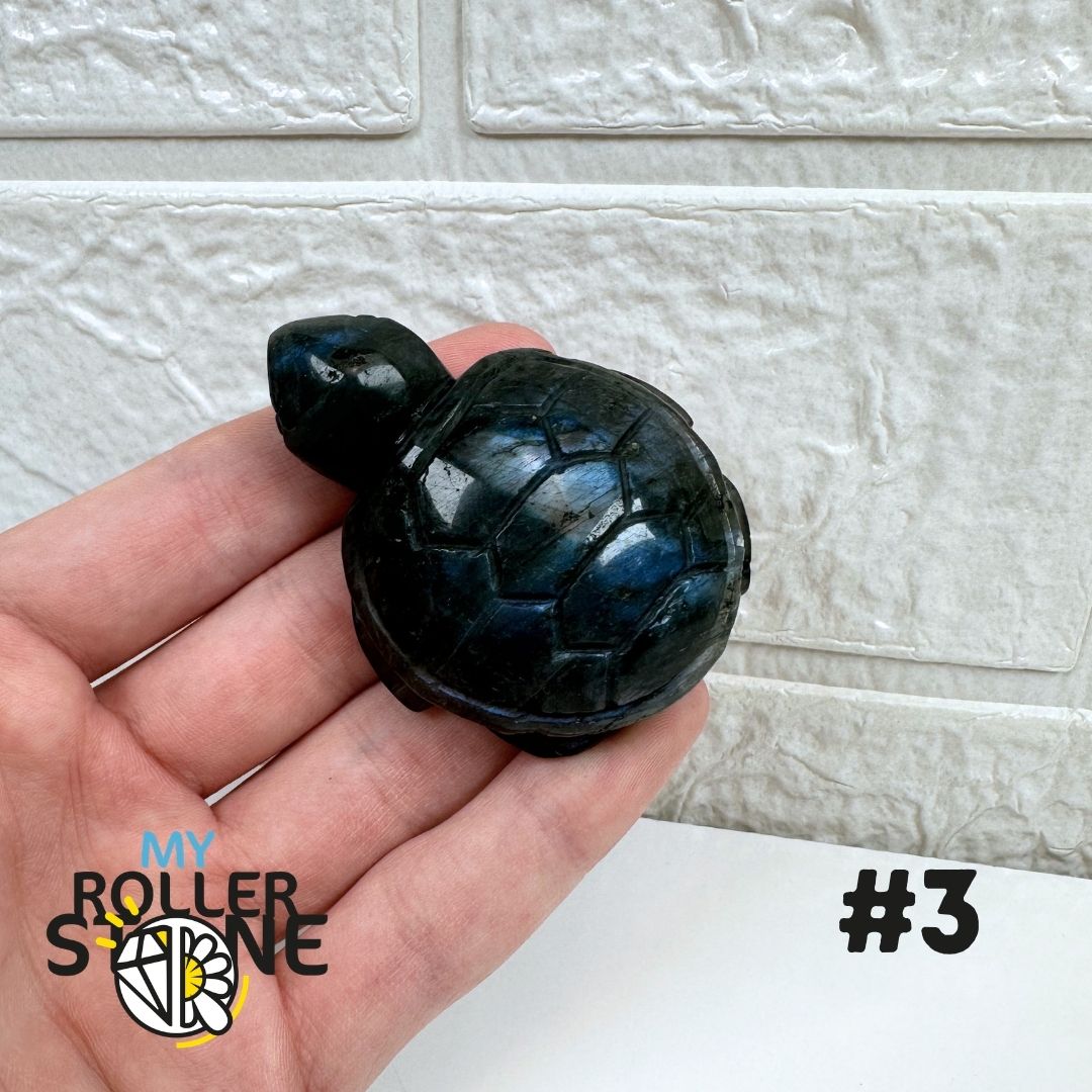 Tortue en Labradorite 3