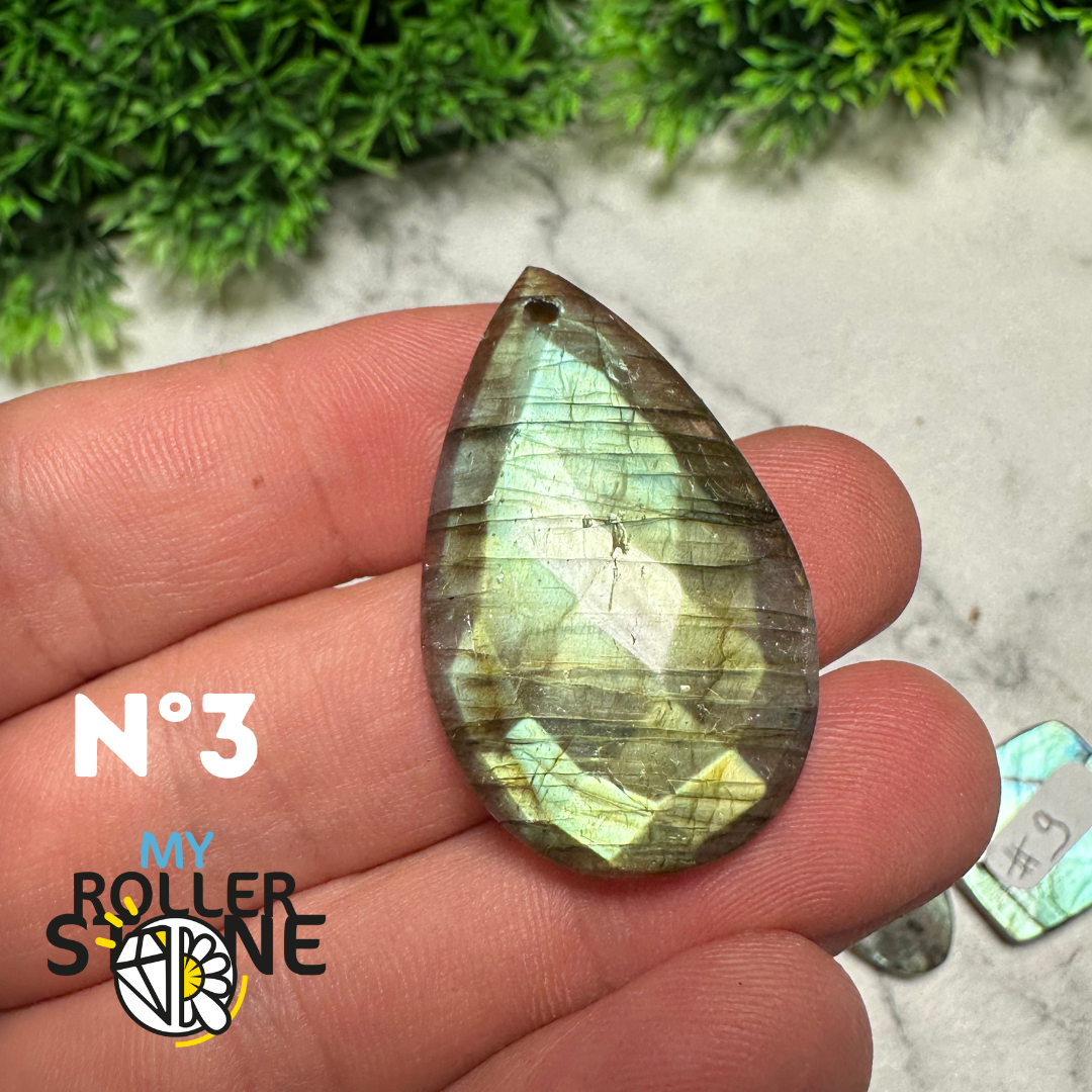 Pendentifs Labradorite forme Libre Facettée