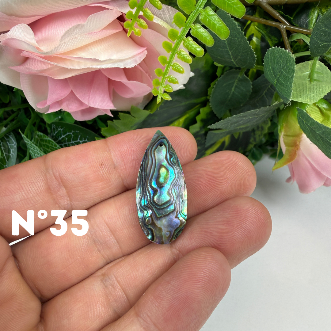 Pendentif en Abalone Forme Libre 5A