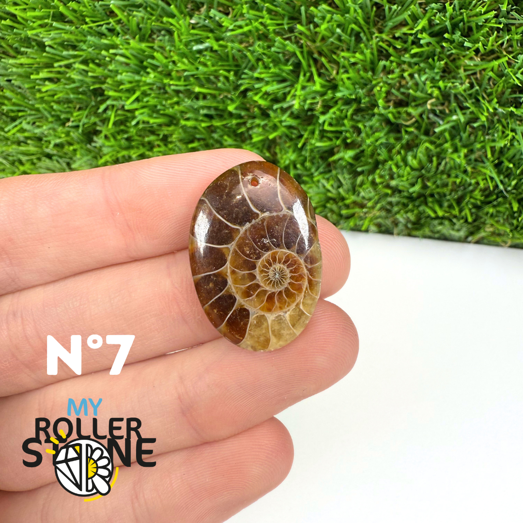 Pendentif Ammonite 5A Percé