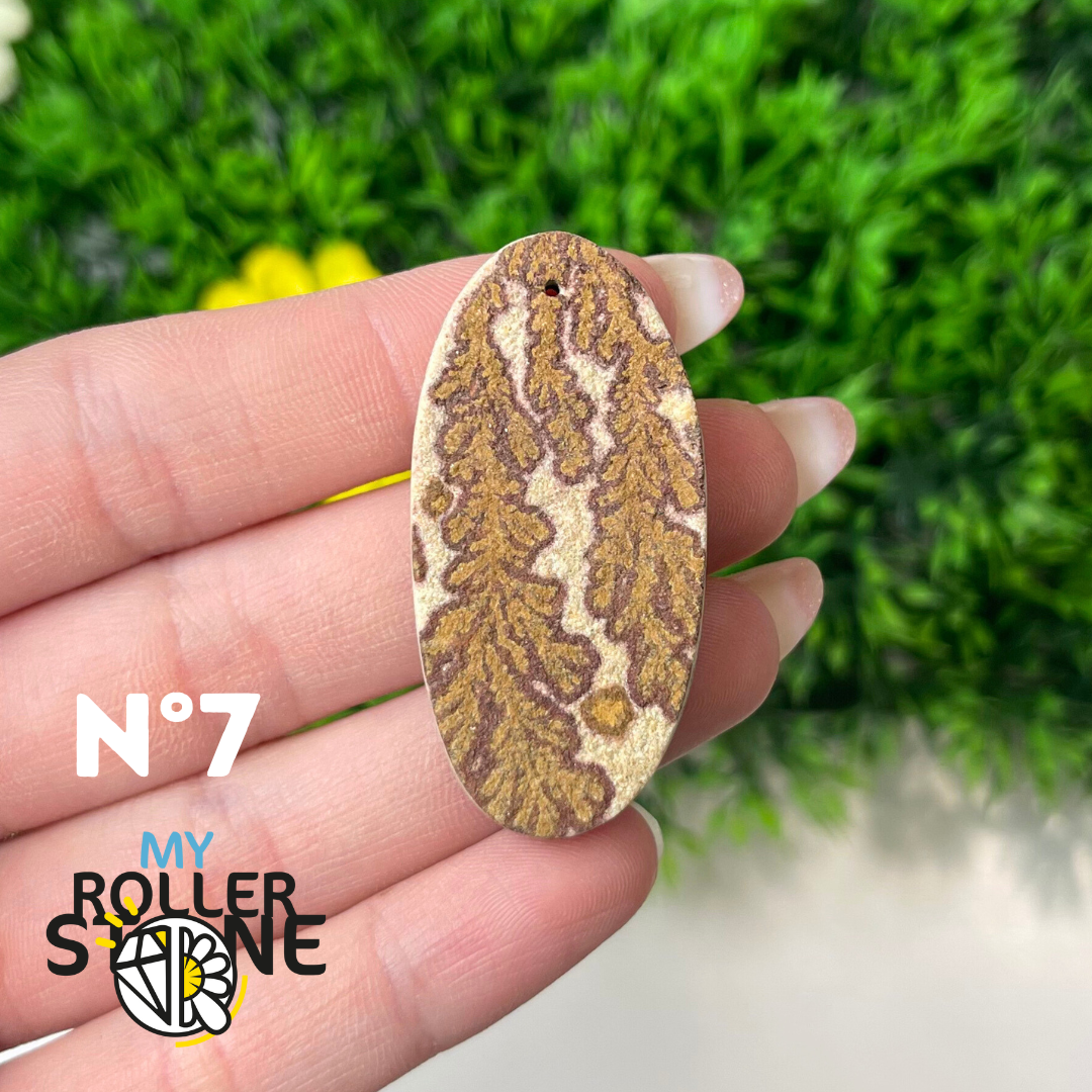 Pendentif Fossil dentritique 5A percé