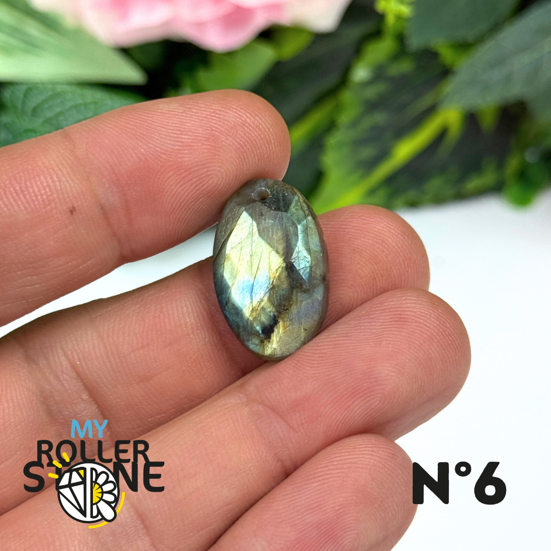 Pendentifs Labradorite Facettée Multi fire 5A
