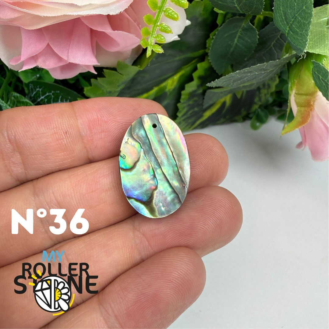 Pendentif en Abalone Forme Libre 5A