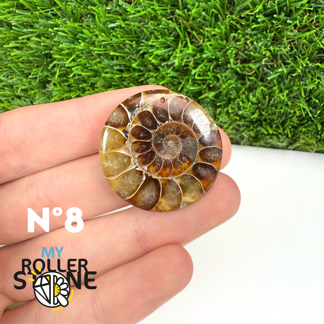 Pendentif Ammonite 5A Percé