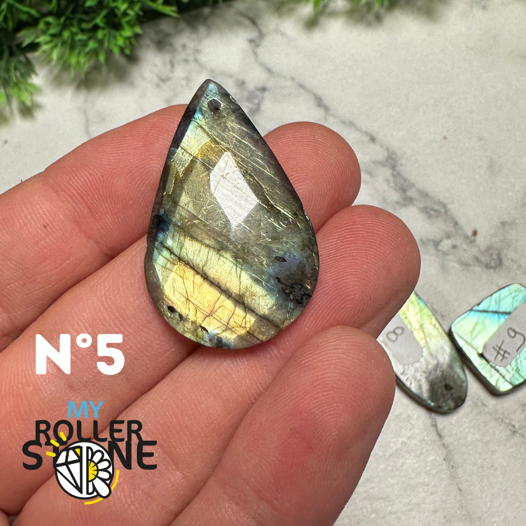 Pendentifs Labradorite forme Libre Facettée