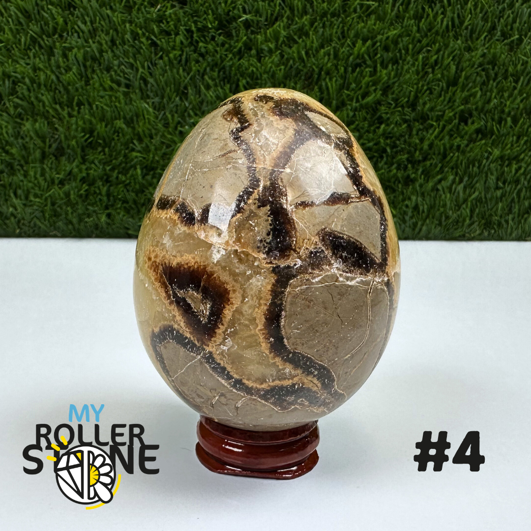 Œuf Septaria
