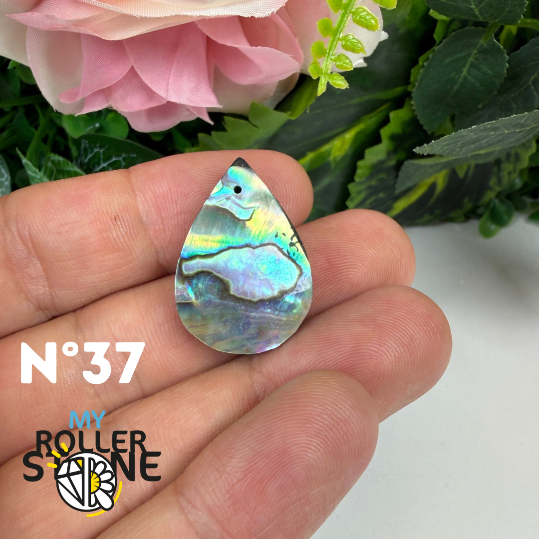 Pendentif en Abalone Forme Libre 5A