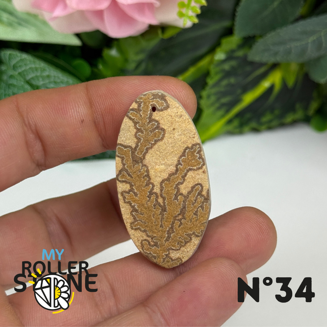 Pendentif Fossile Dendritique 5A Percé