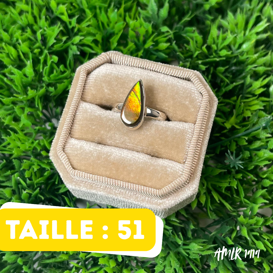 Bague Argent Ammolite #AMLR 1919