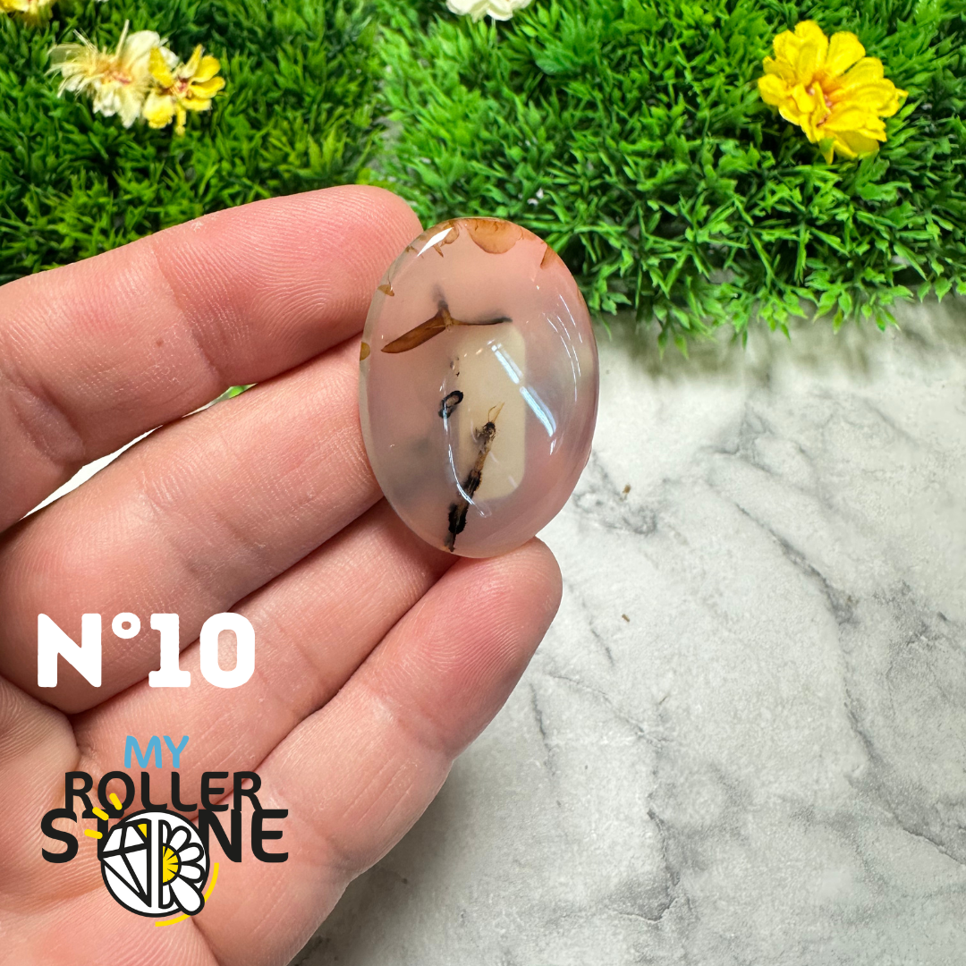 Cabochon Agate Montana Forme libre