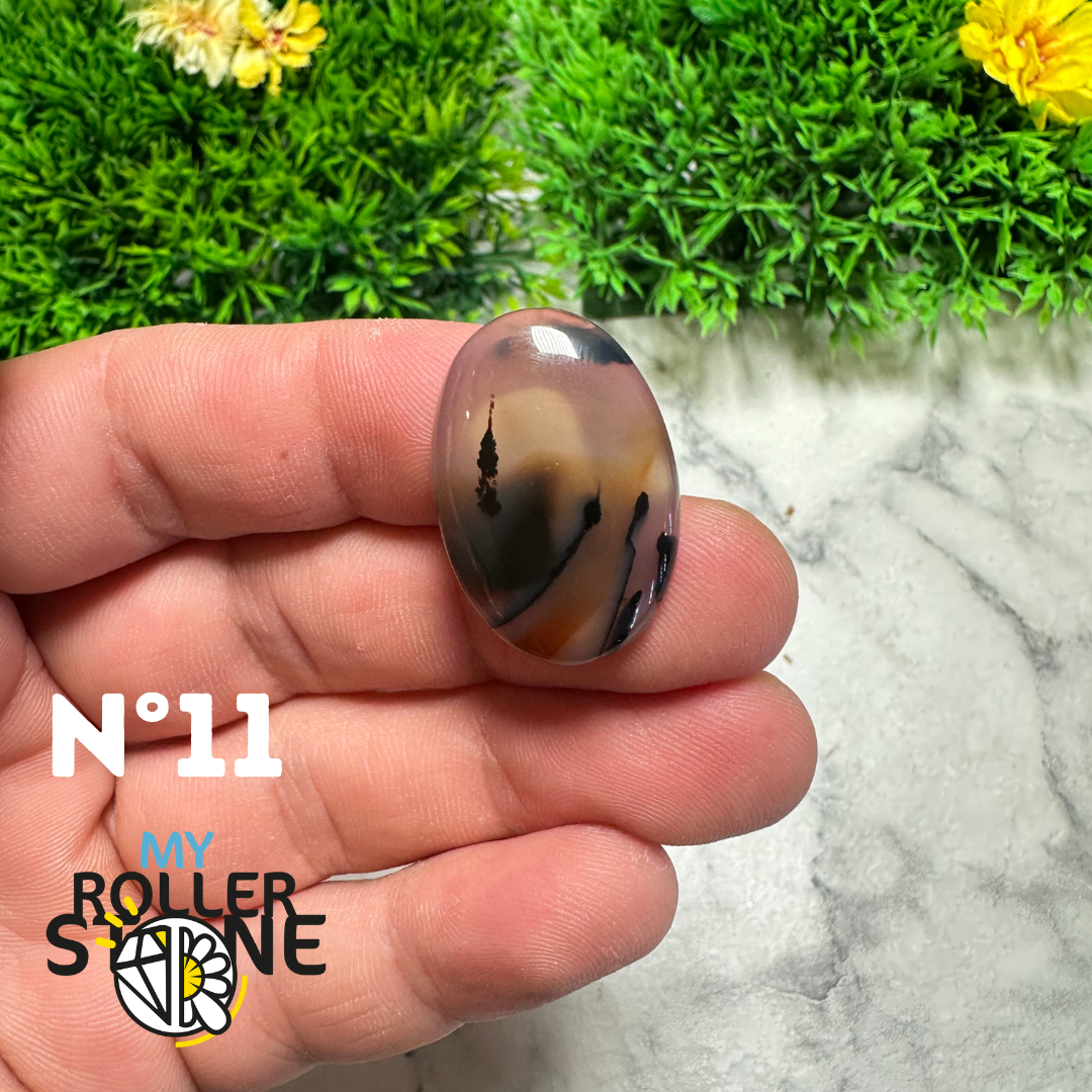 Cabochon Agate Montana Forme libre