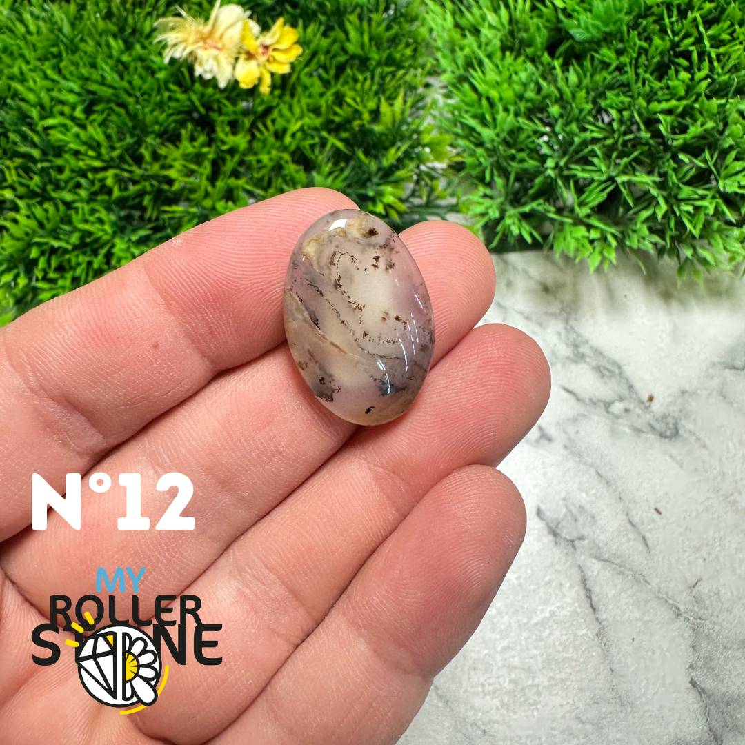 Cabochon Agate Montana Forme libre