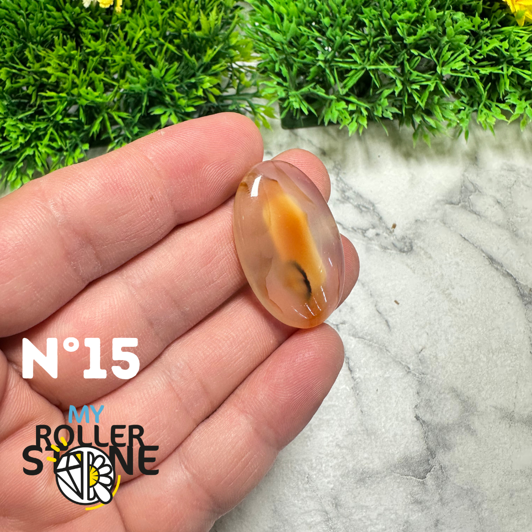 Cabochon Agate Montana Forme libre