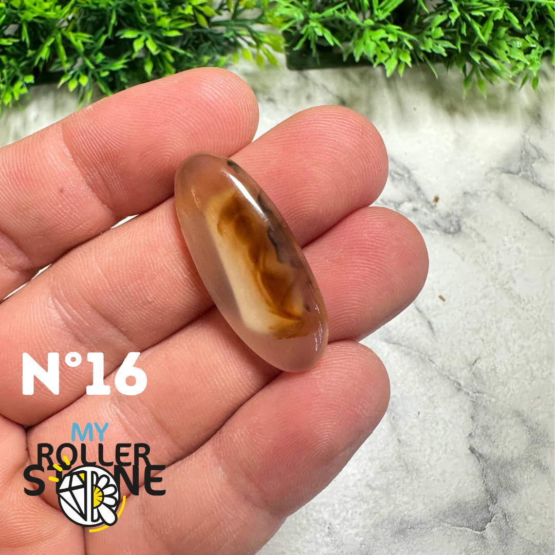 Cabochon Agate Montana Forme libre