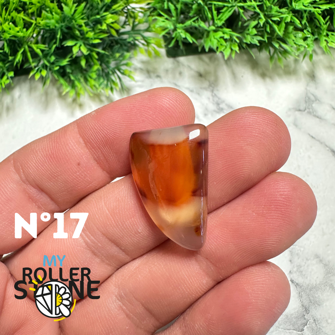 Cabochon Agate Montana Forme libre