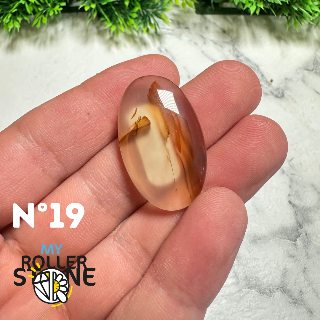Cabochon Agate Montana Forme libre
