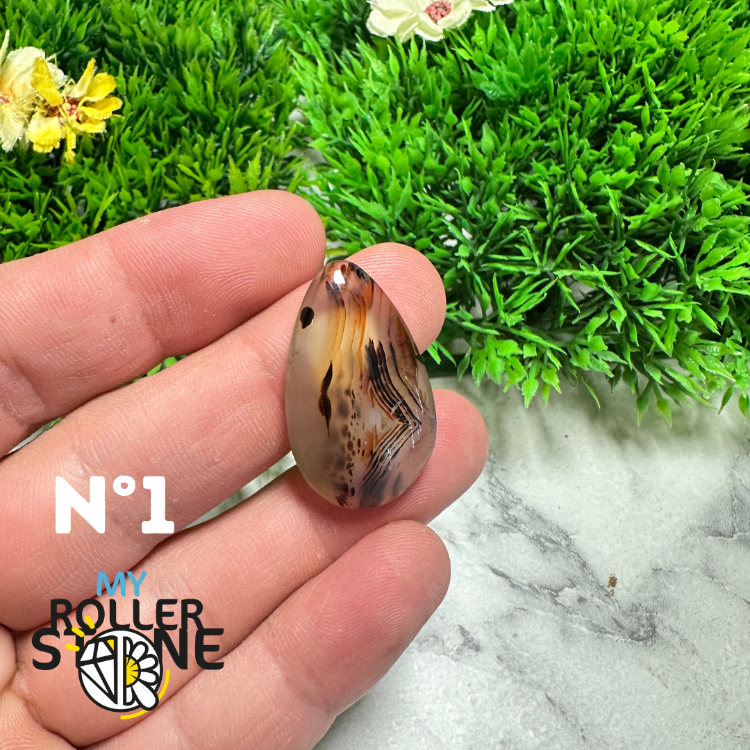 Cabochon Agate Montana Forme libre
