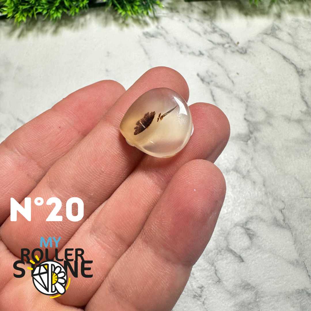 Cabochon Agate Montana Forme libre