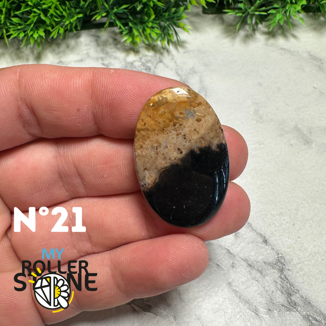 Cabochons Agate Racine de Palmier forme libre