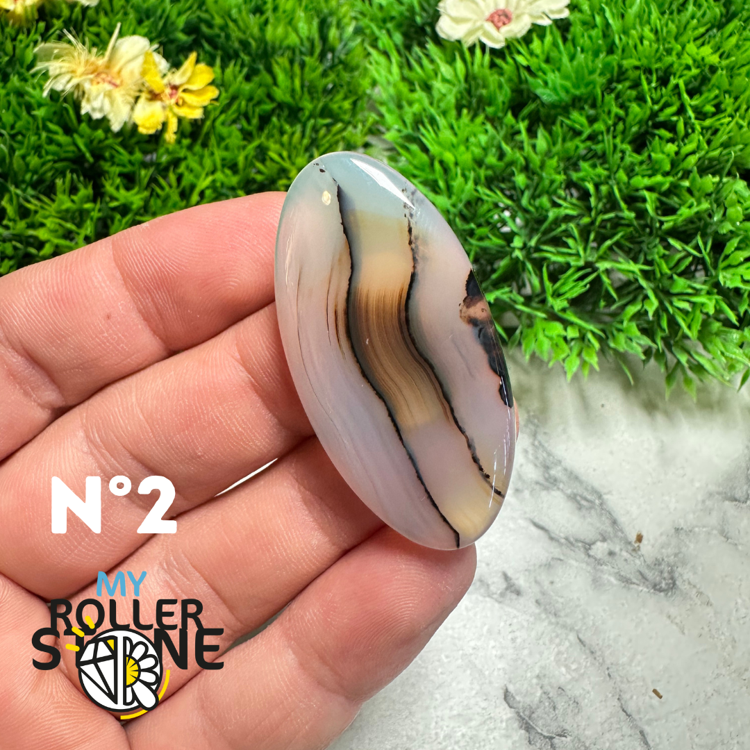 Cabochon Agate Montana Forme libre