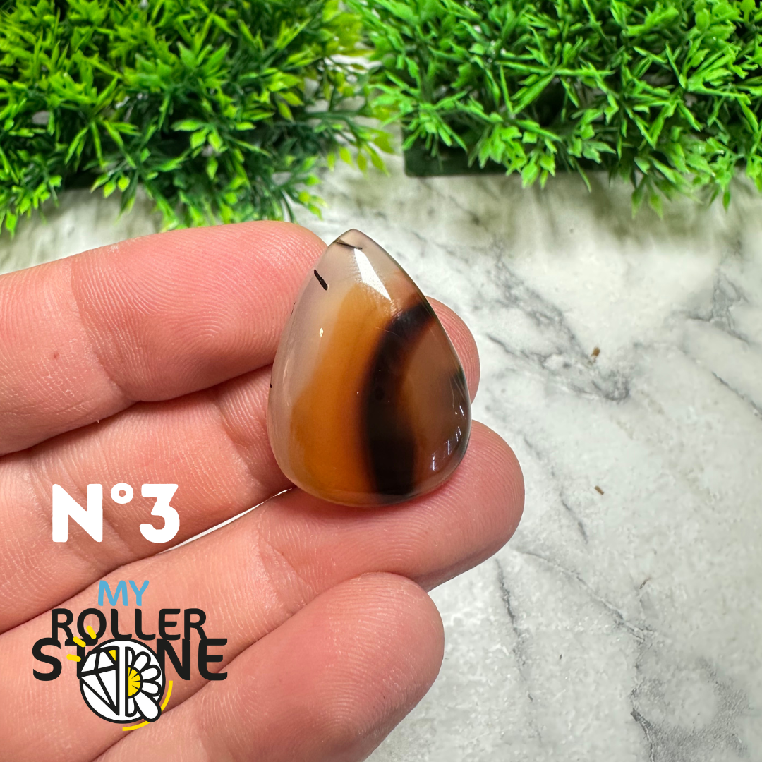 Cabochon Agate Montana Forme libre
