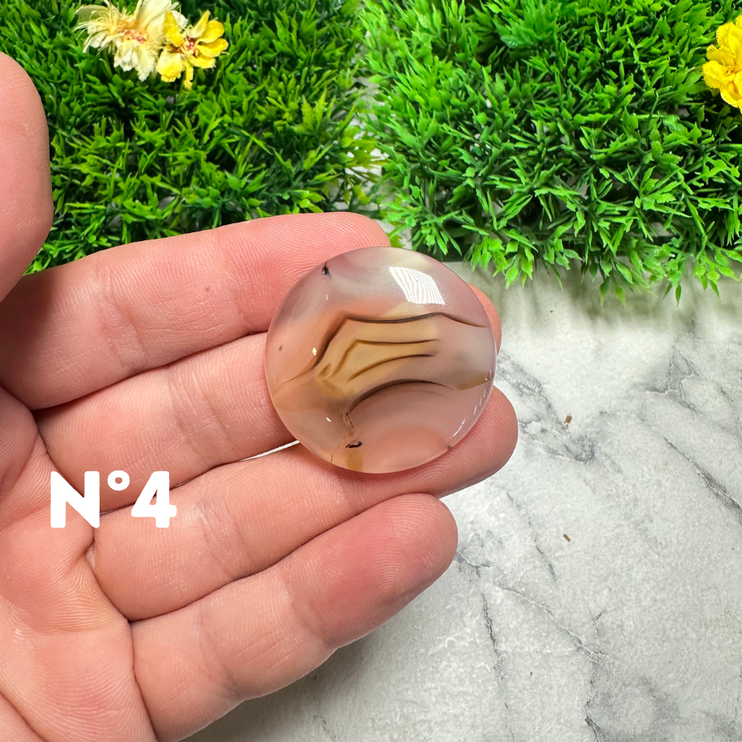 Cabochon Agate Montana Forme libre