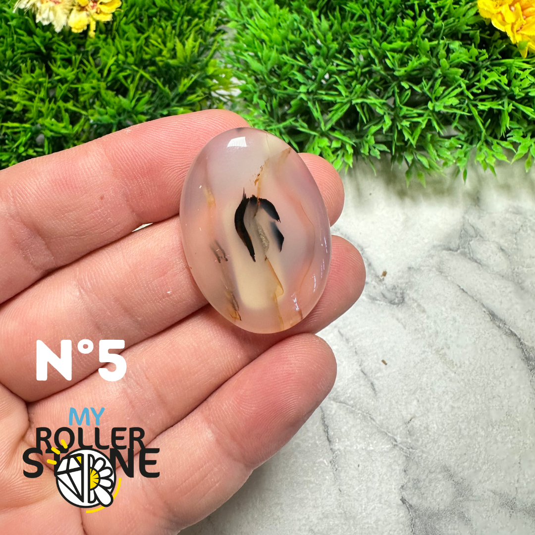 Cabochon Agate Montana Forme libre