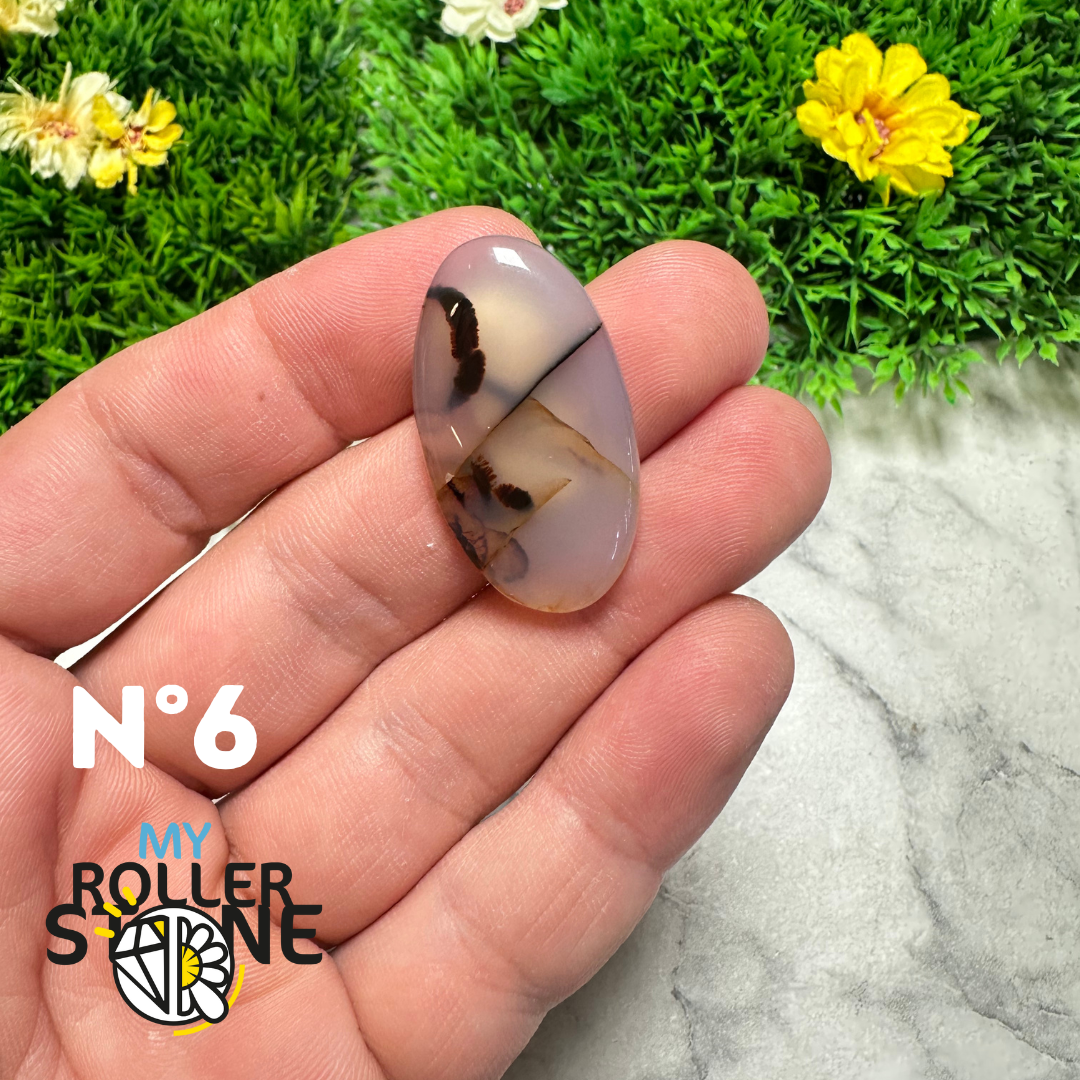 Cabochon Agate Montana Forme libre