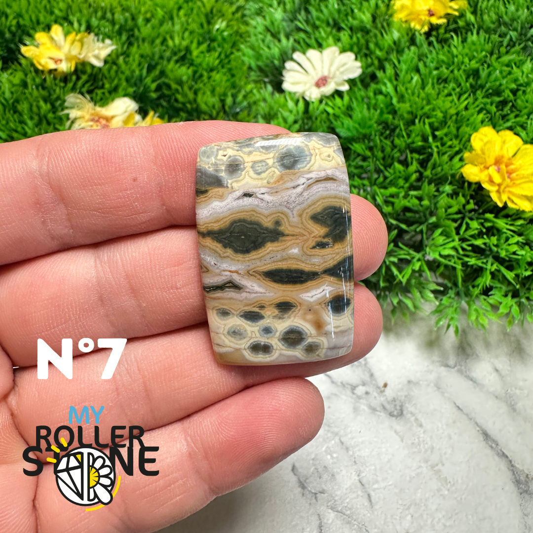 Cabochons Jaspe Océan forme libre