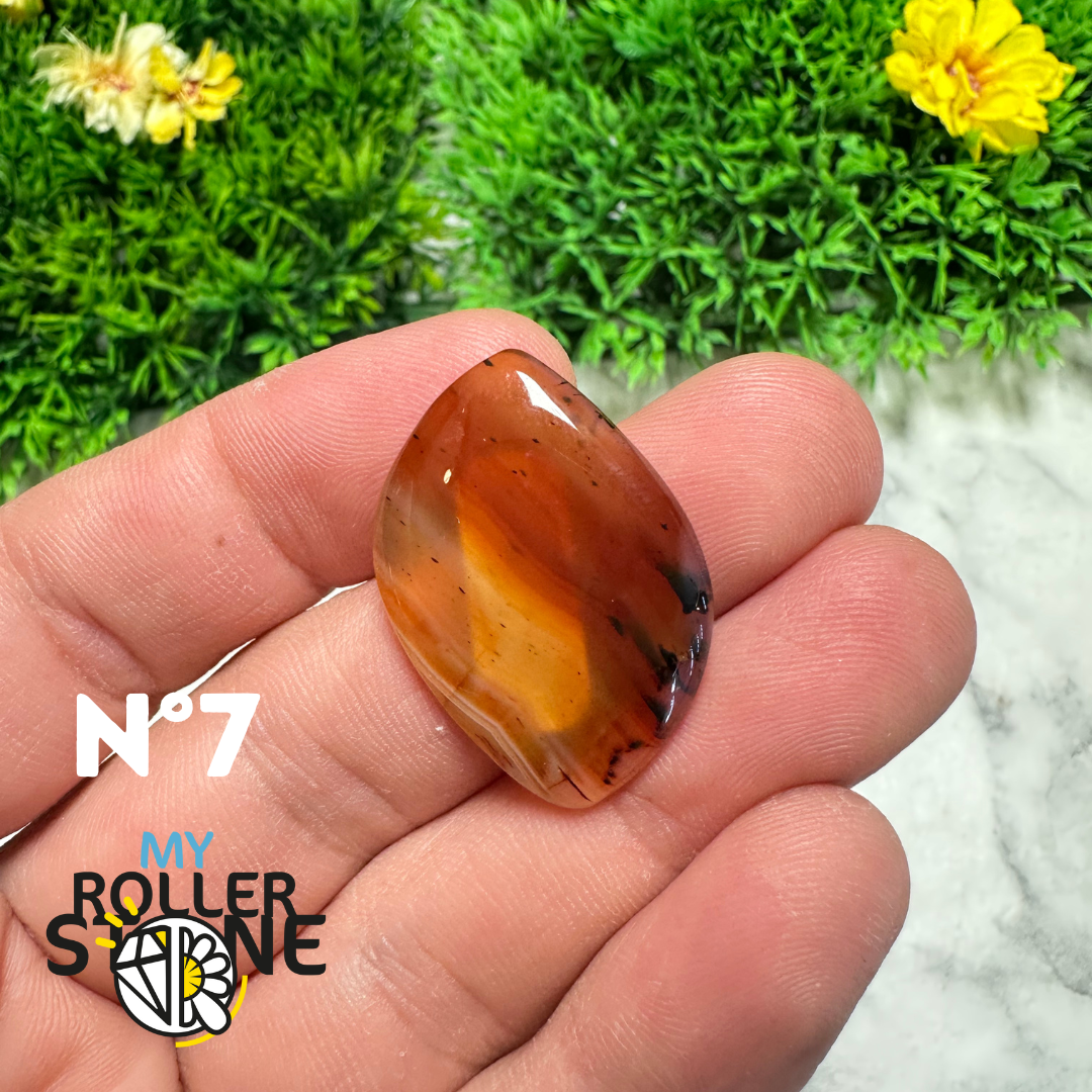 Cabochon Agate Montana Forme libre