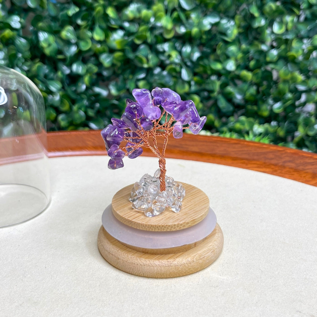 Arbre Améthyste sous cloche