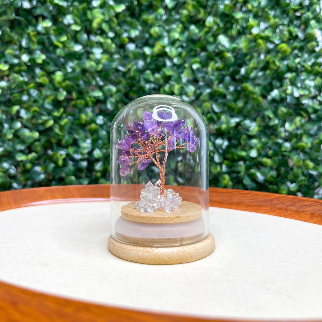 Arbre Améthyste sous cloche