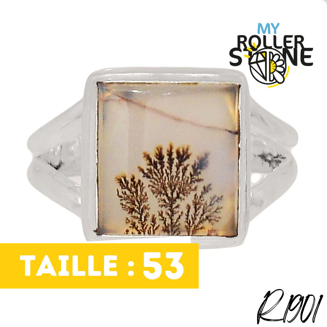 Bague Agate Dendrite Scénique R1901 - Boucles d’oreilles