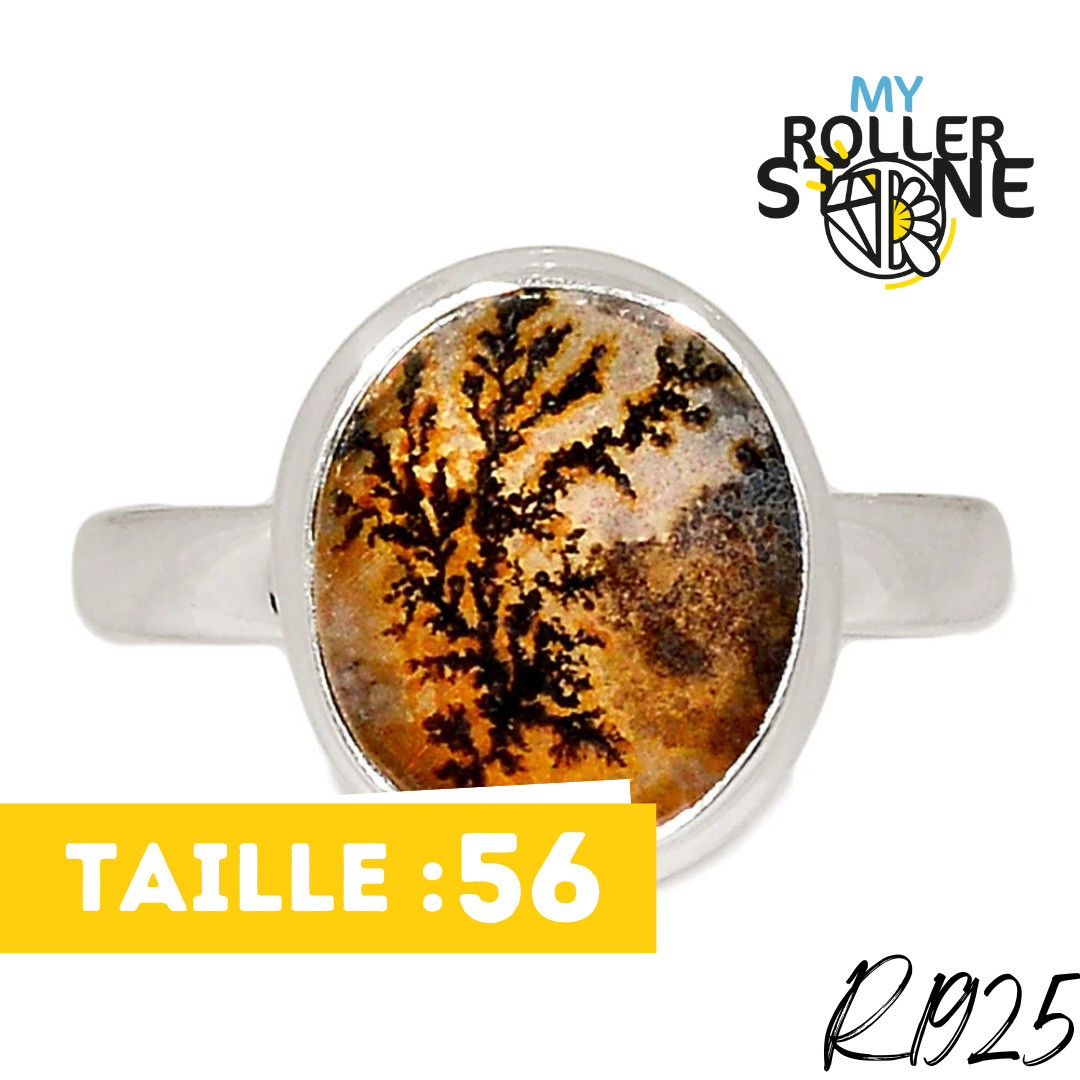 Bague Agate Dendrite Scénique R1925 - Boucles d’oreilles