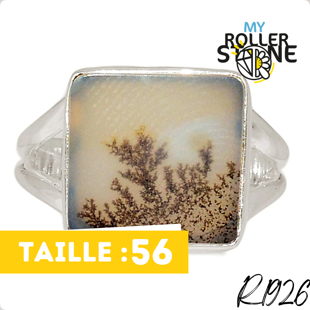 Bague Agate Dendrite Scénique R1926 - Boucles d’oreilles