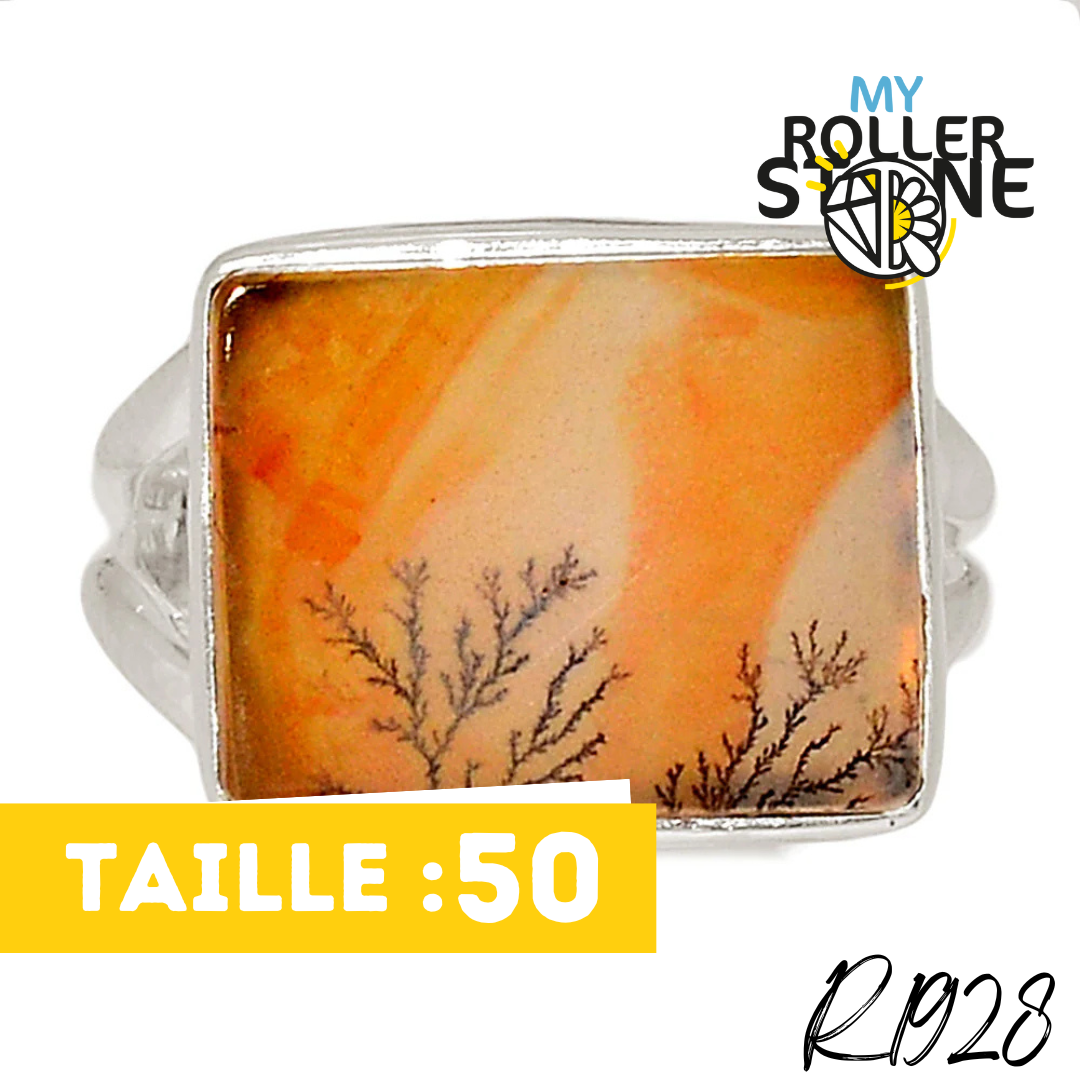 Bague Agate Dendrite Scénique R1928 - Boucles d’oreilles