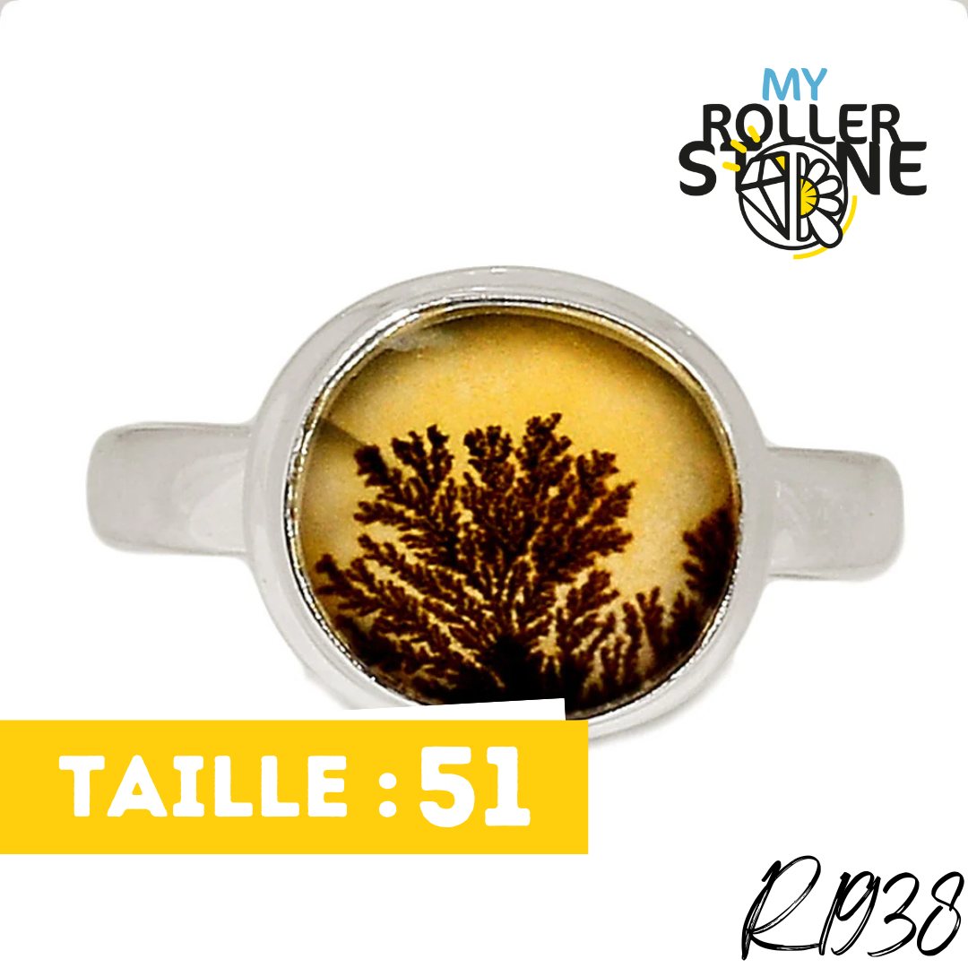 Bague Agate Dendrite Scénique R1938 - Boucles d’oreilles