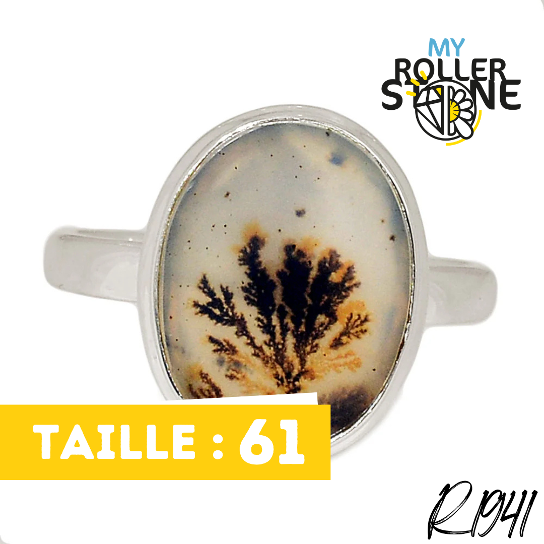 Bague Agate Dendrite Scénique R1941 - Boucles d’oreilles