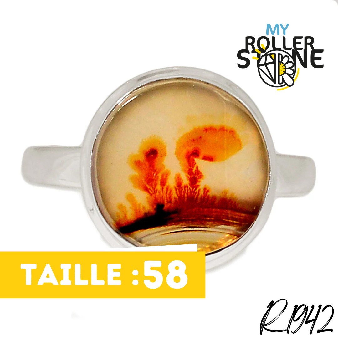Bague Agate Dendrite Scénique R1942 - Boucles d’oreilles