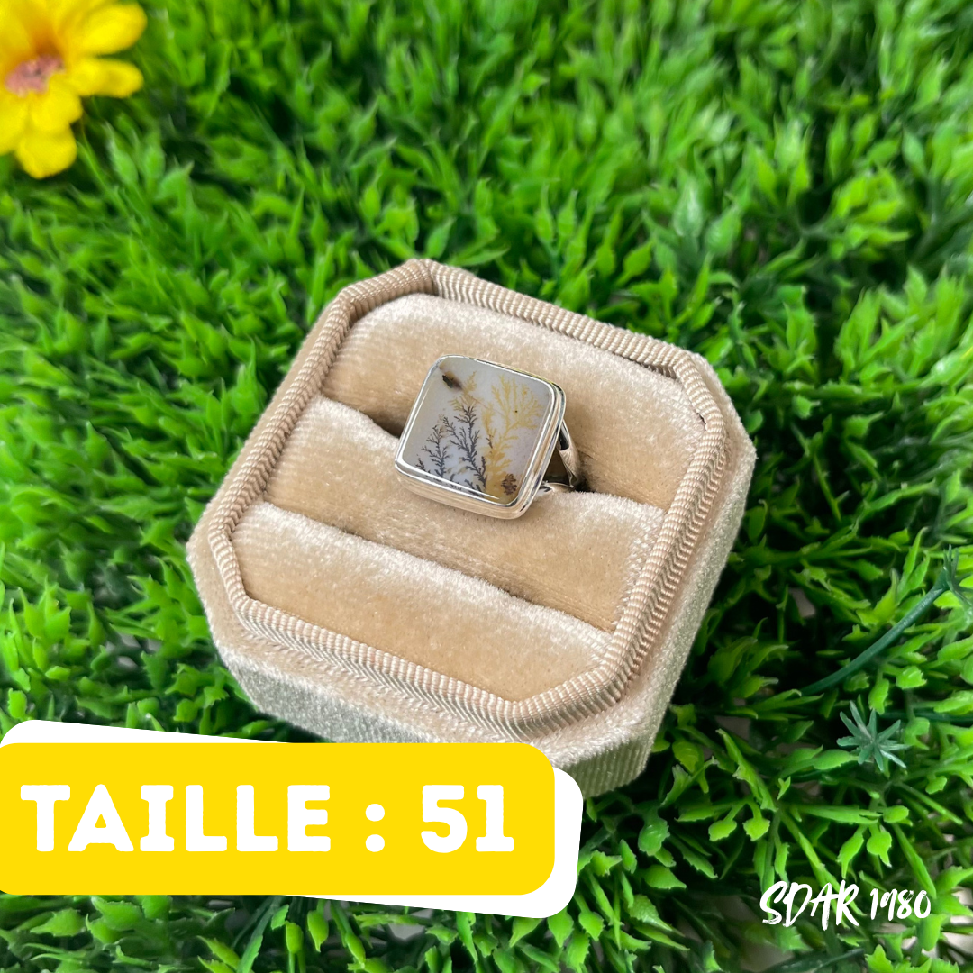 Bague Agate Dendrite Scénique