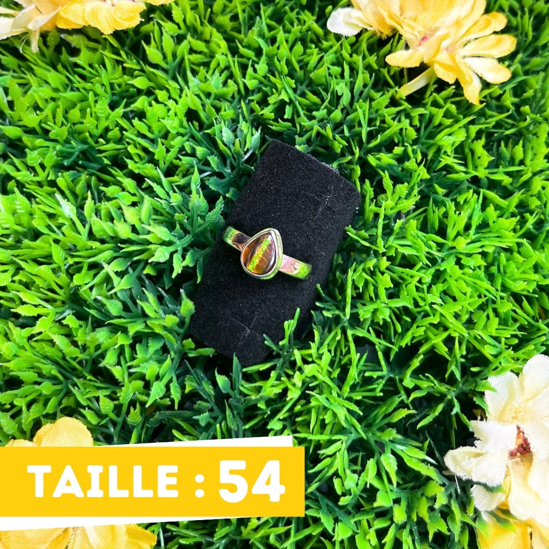 Bague Argent Ammolite #4