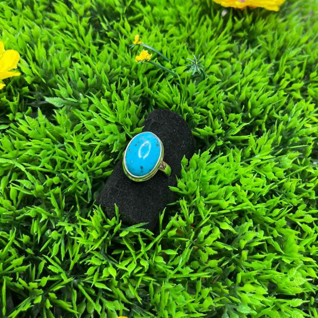 Bague Argent Turquoise Perse #1