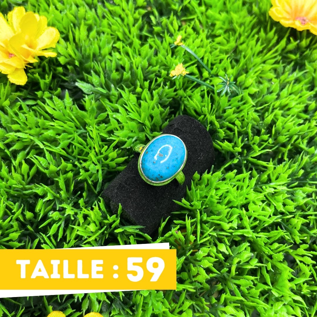 Bague Argent Turquoise Perse #14