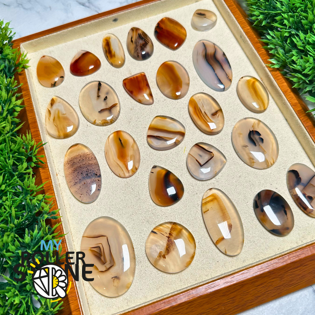 Cabochon Agate Montana Forme libre