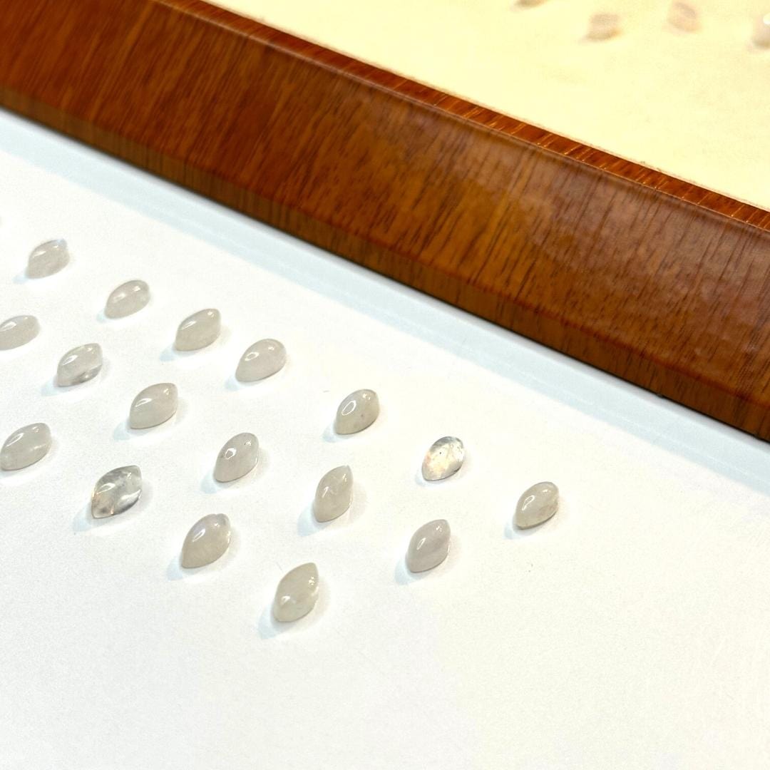 Cabochon Horse Eye Pierre de Lune Arc-en-ciel (Grade A)