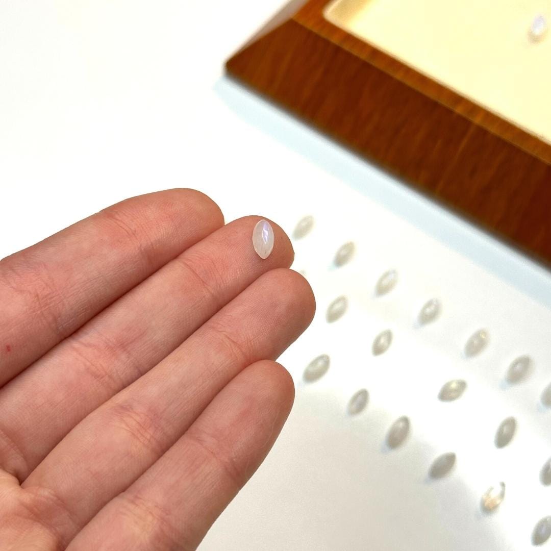 Cabochon Horse Eye Pierre de Lune Arc-en-ciel (Grade A)