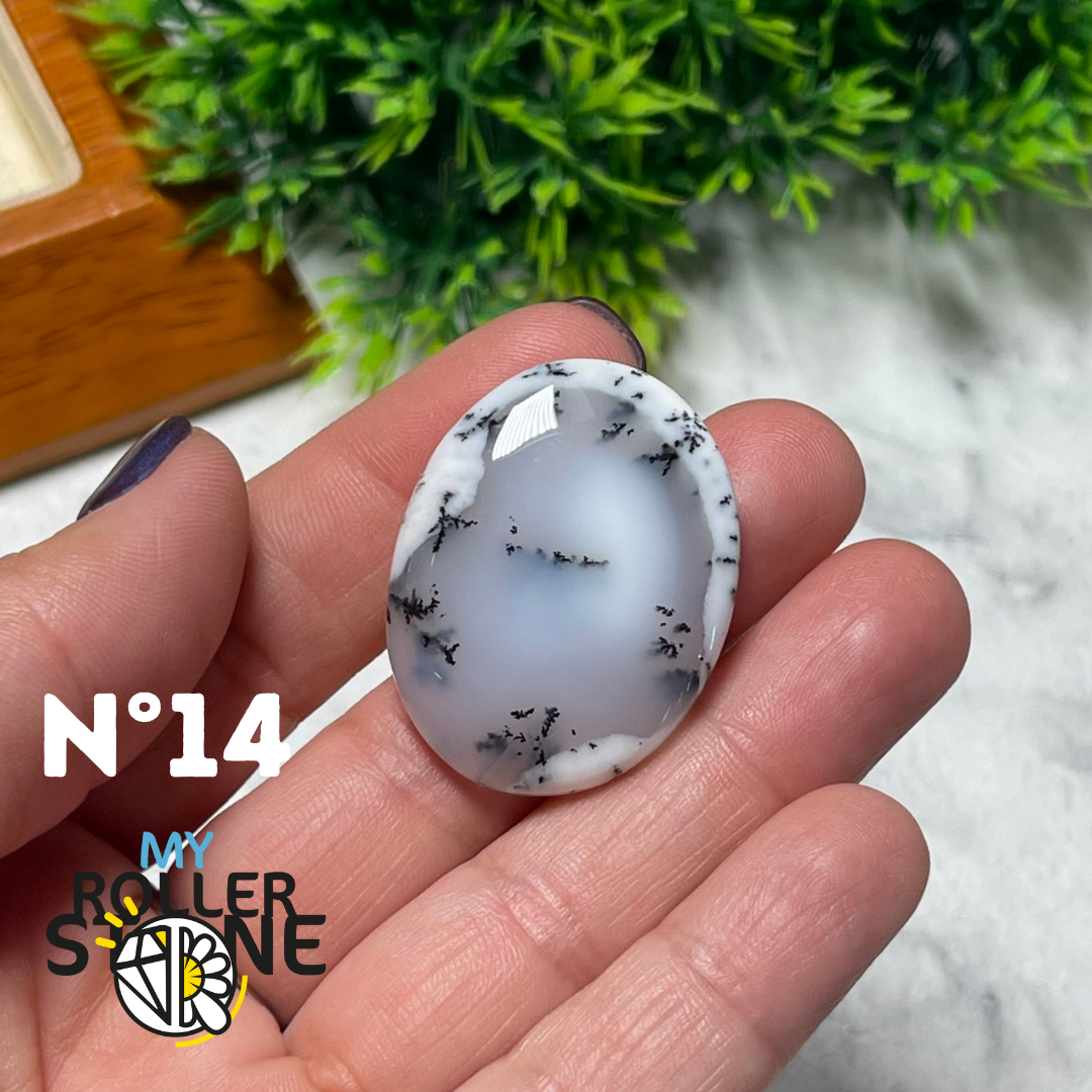 Cabochon Opale Dendritique - 14