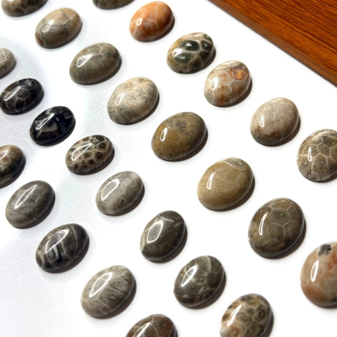 Cabochon Ovale Chrysanthème