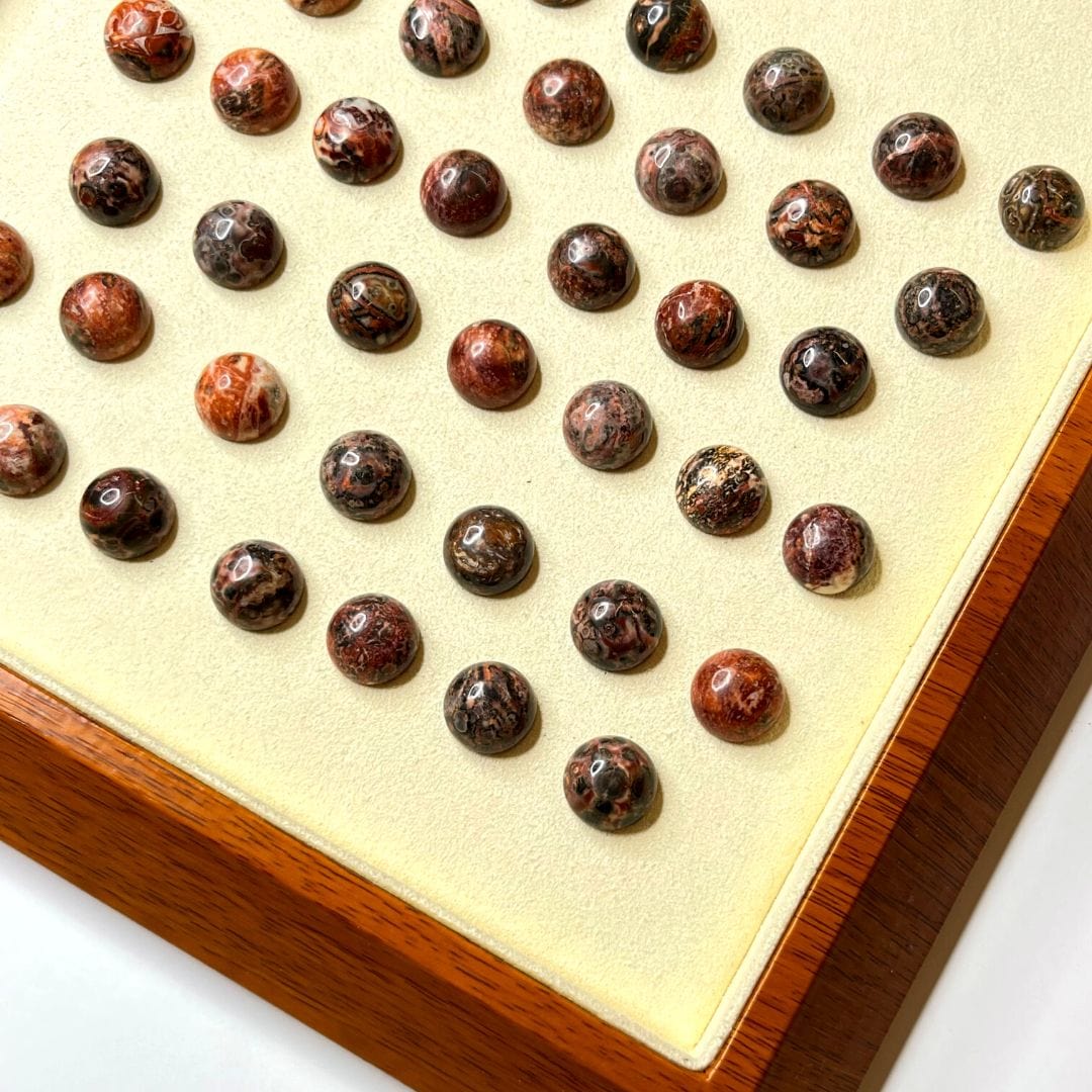 Cabochon Rond Jaspe Léopard